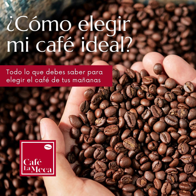¿Cómo elegir mi café ideal?