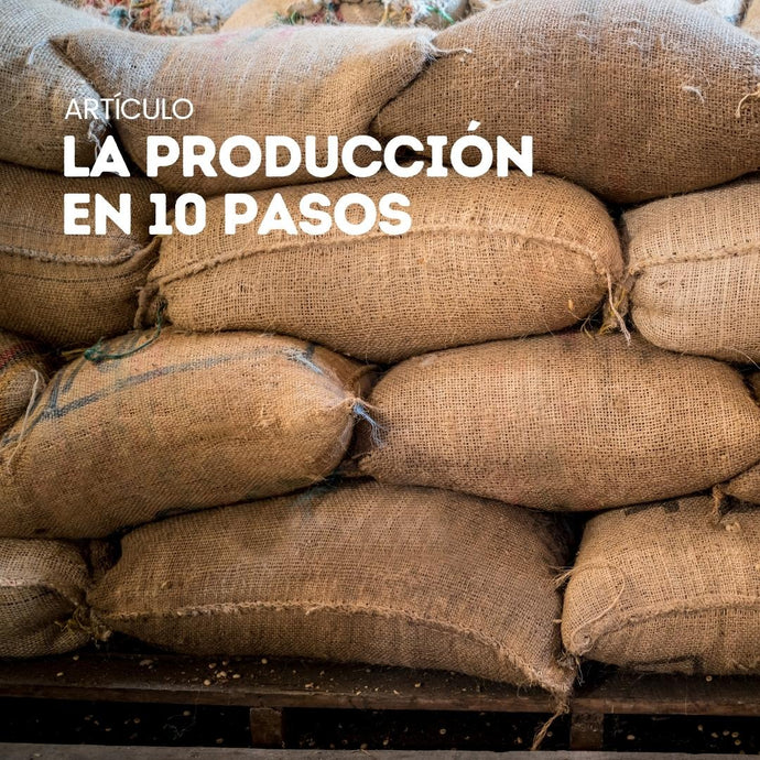 ¿Cómo es la producción de café?: Aquí te lo resumimos en 10 pasos