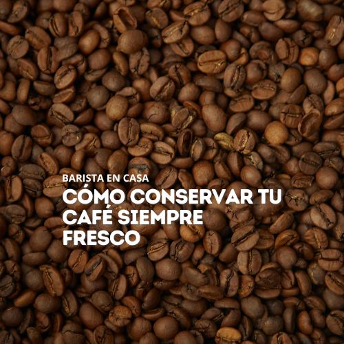 Cómo conservar tu café siempre fresco