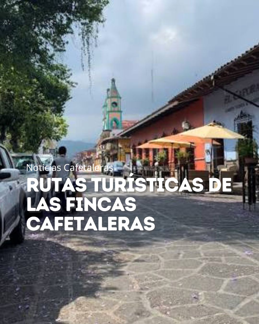 Rutas turísticas de las fincas cafetaleras