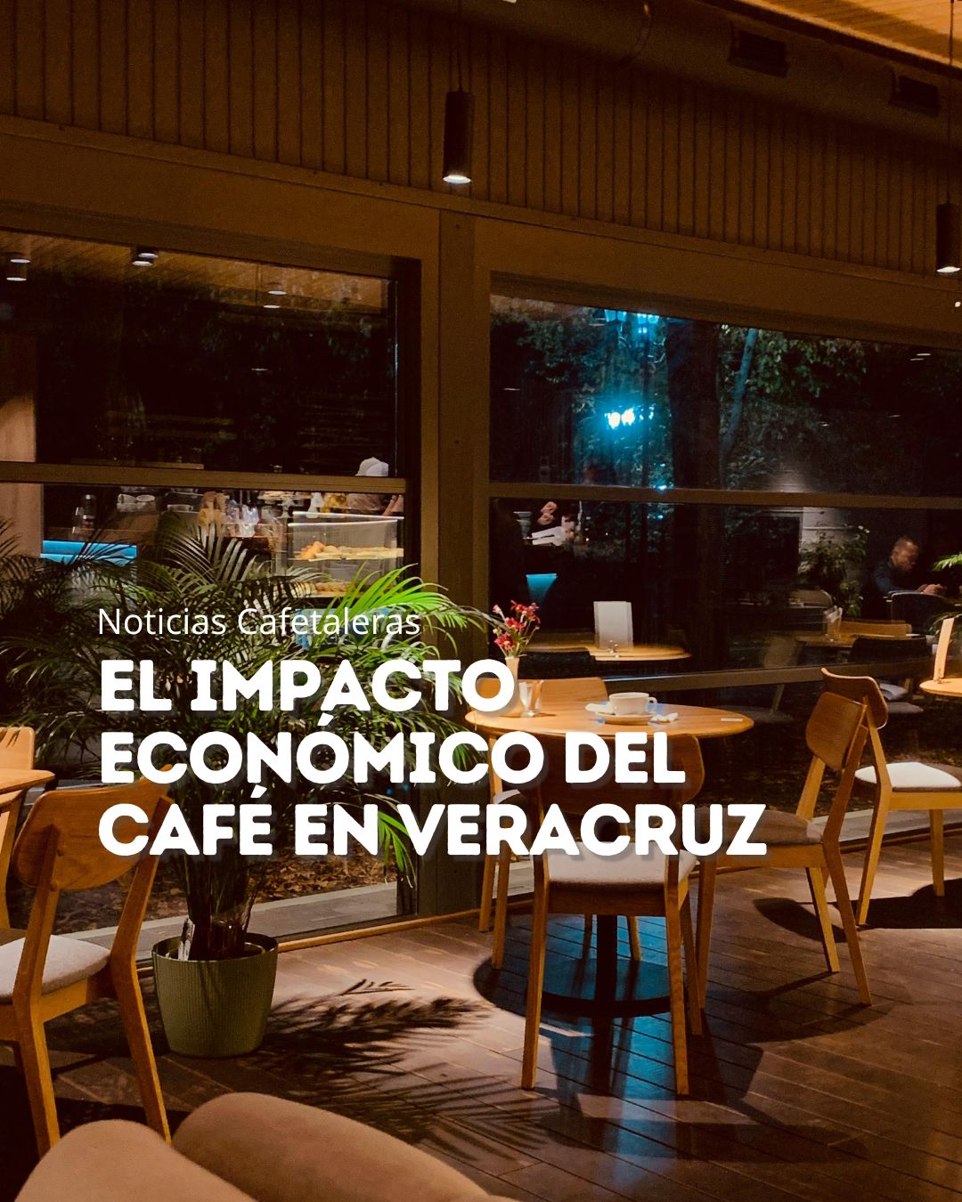 El impacto económico del café en Veracruz