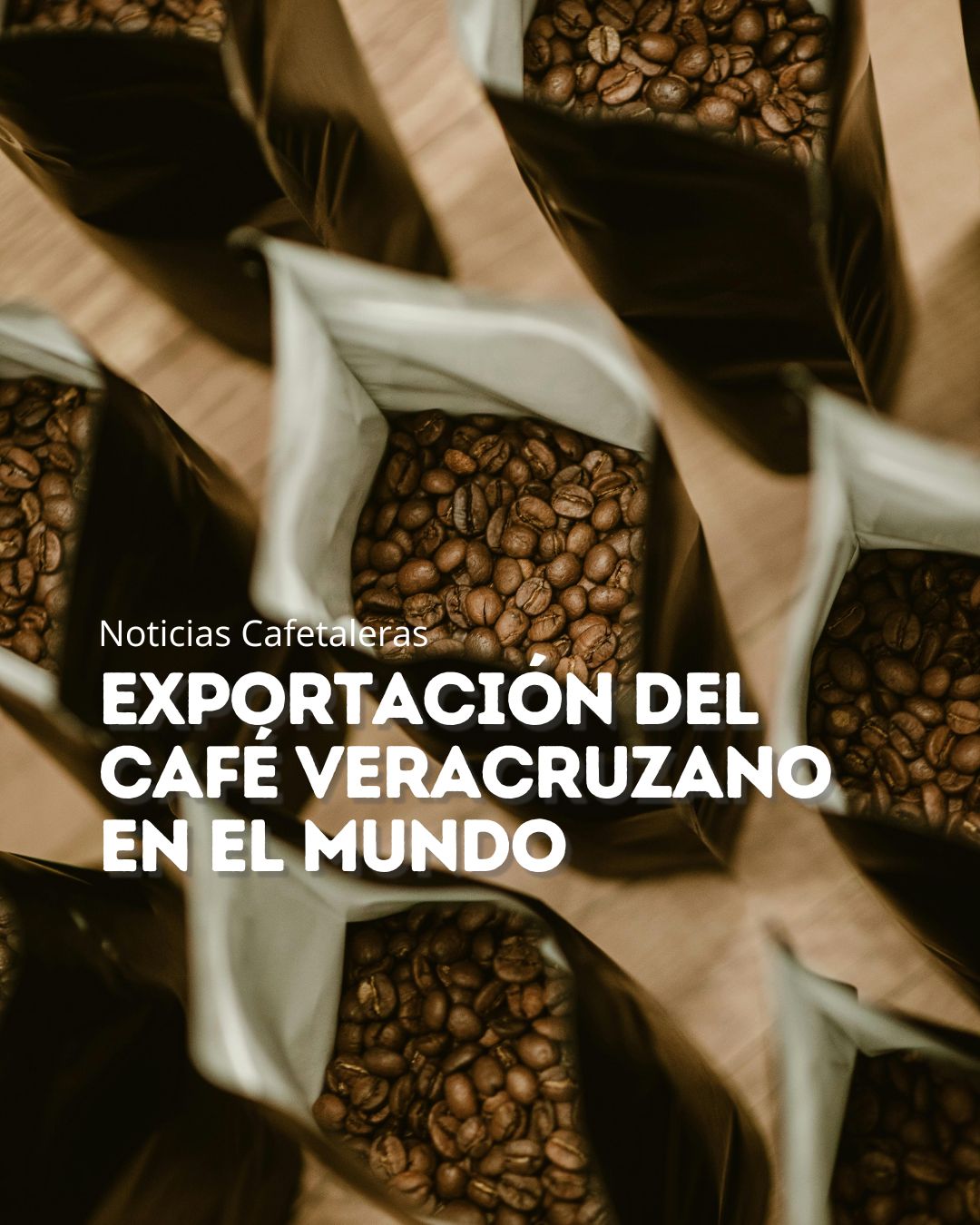 Exportación del café veracruzano en el mundo
