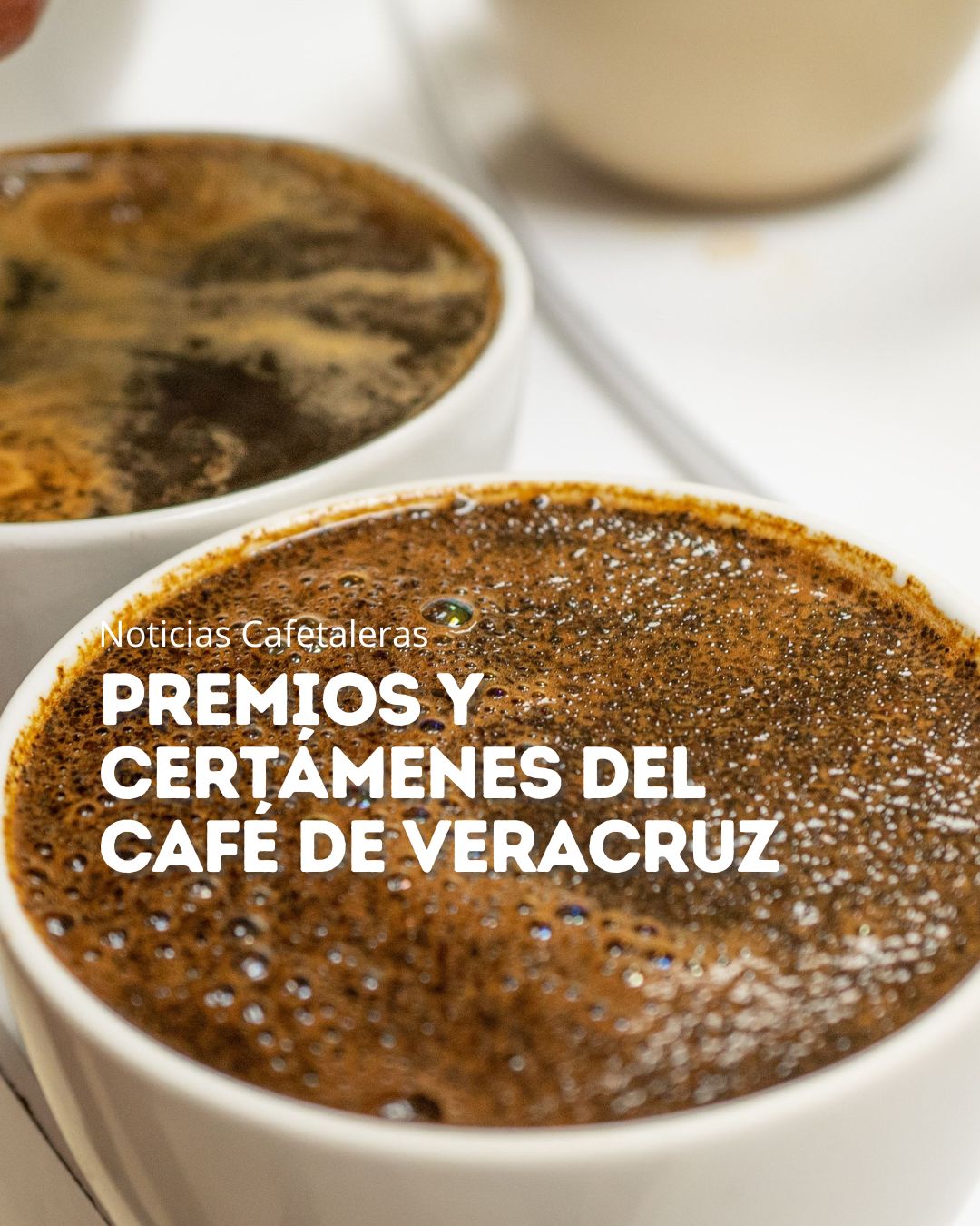Premios y certámenes del café de Veracruz