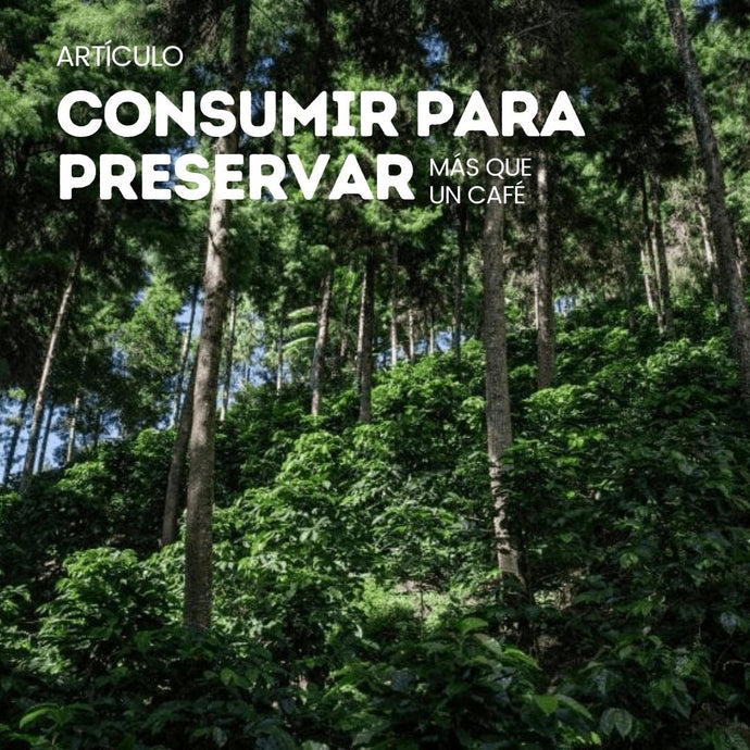 Más que una taza de café: Consumir para conservar