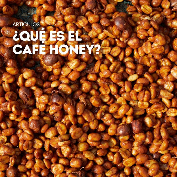 ¿Qué es un Honey?