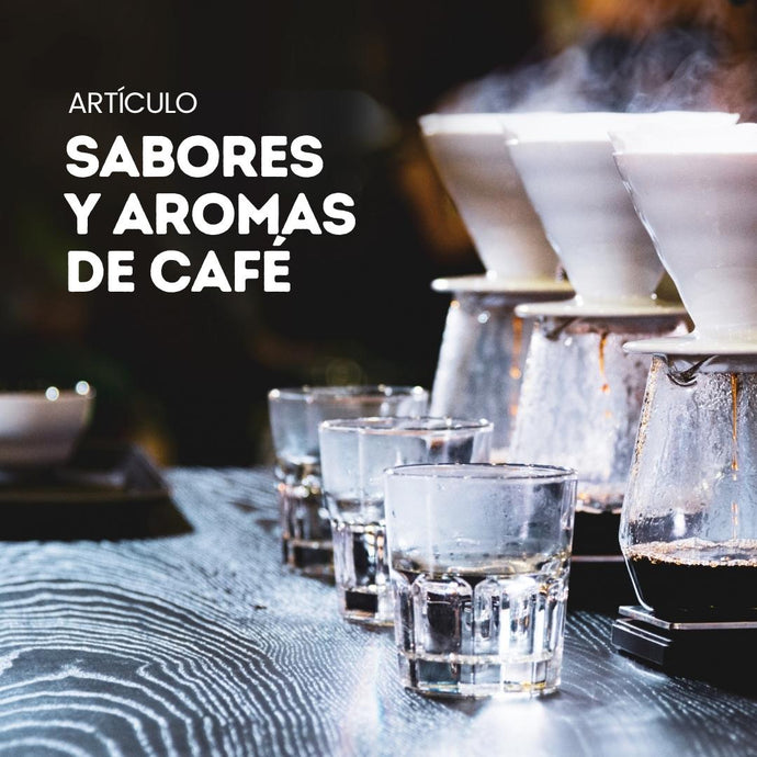 Sabores y aromas a café