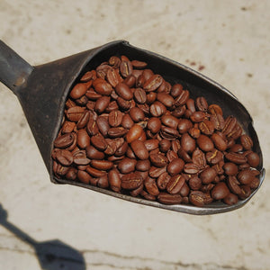 3 kg Café La Meca Gourmet de altura - Puro Arábica - Tostado especial - Origen: Veracruz - Cuerpo y aroma intenso - Empaque de 1000 y 500 gramos - Café la Meca