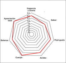 Cargar imagen en el visor de la galería, 3 kg Café La Meca Tradicional - Blend Arabica/Robusta - Tostado especial - Origen: Veracruz - Cuerpo y aroma intenso - Empaque de 1000 y 500 gramos - Café la Meca

