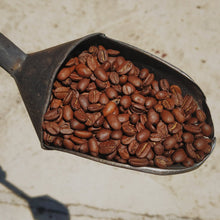 Cargar imagen en el visor de la galería, Bulto café tostado arábica estricta altura zona Coatepec 50 kg En Grano - Café la Meca
