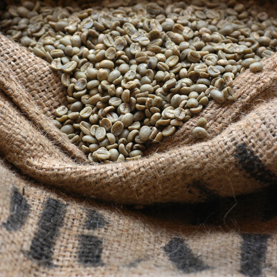 Bulto de 50 kg de café oro verde estricta altura cosecha 2022 - 2023 región Veracruz - Café la Meca