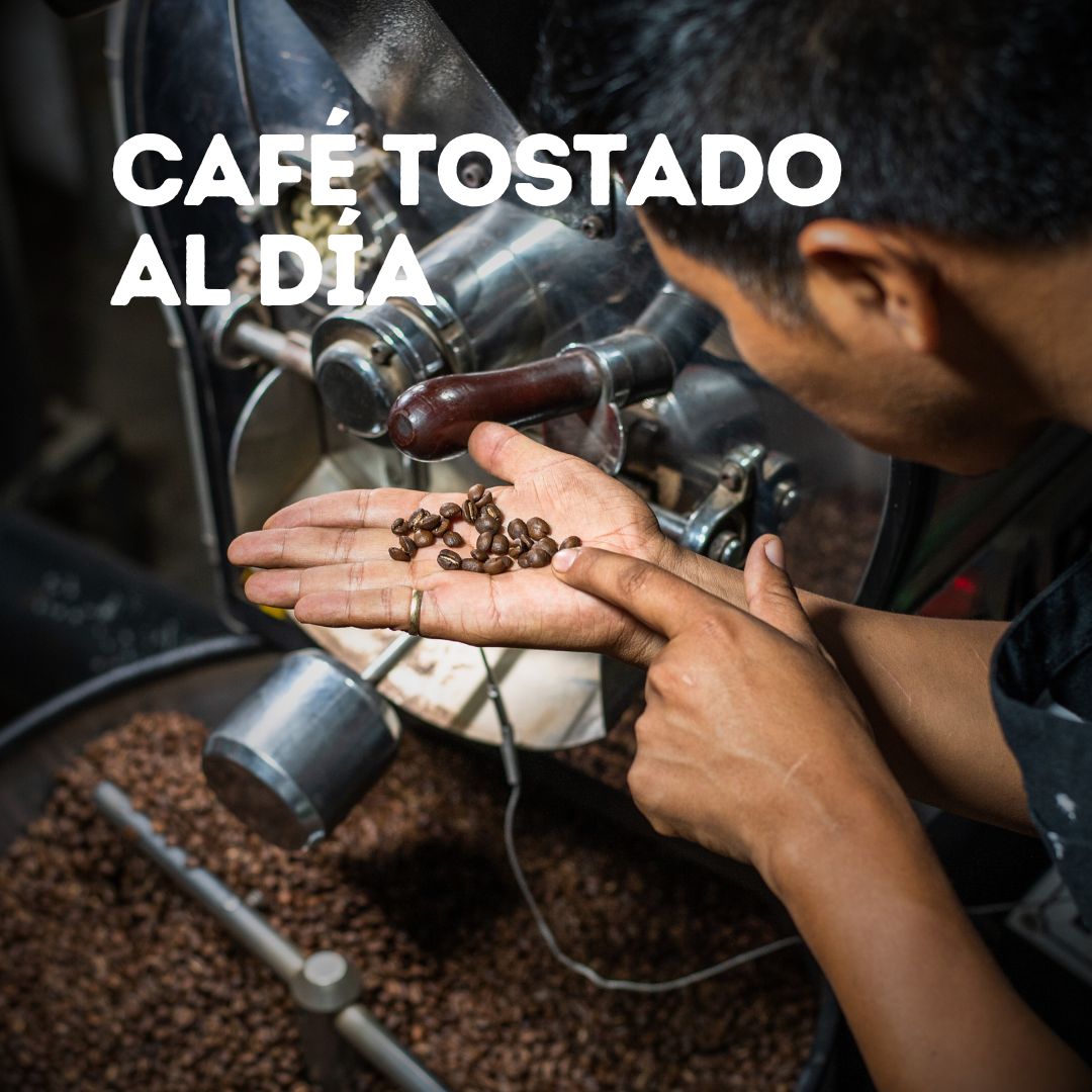 Café La Meca Descafeinado Gourmet - Café De Altura Clasificado - Veracruzano - Café la Meca
